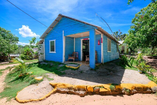 Immerse in Dominican Culture: Private Community Tour - Typical Dominican Rural Home: seeing everyday life up close