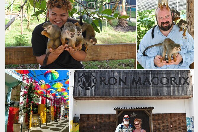 Interaction with Monkey Tour & city tour in Puerto Plata - Key highlights