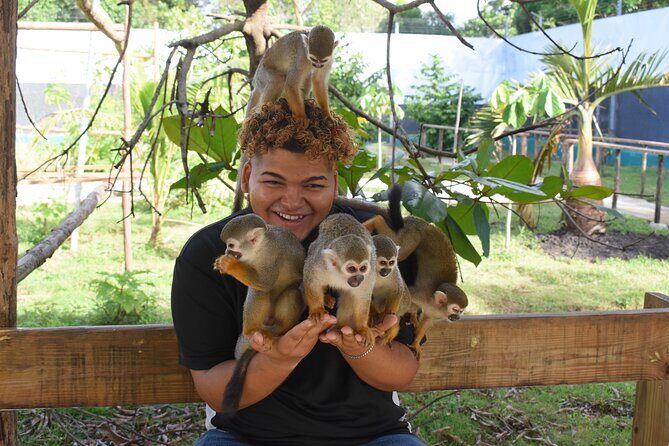 Interaction with Monkey Tour & city tour in Puerto Plata - Puerto Plata in one day: a smart way to get your bearings