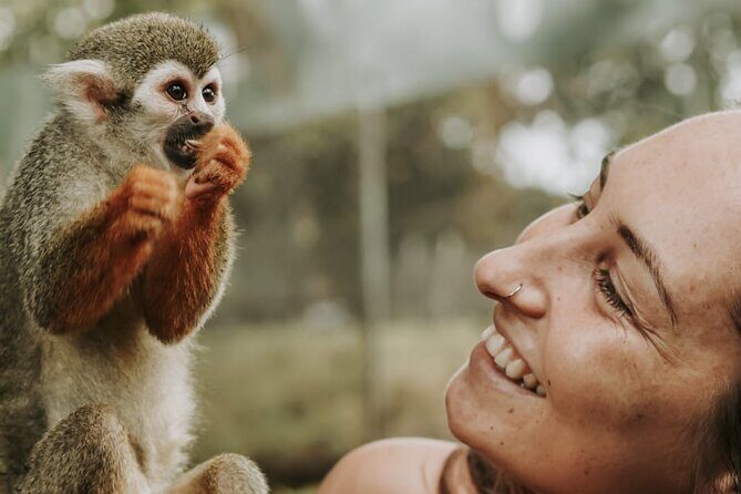 Monkey Jungle with Zip line - Key Things I’d Plan Around