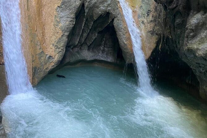 Monkey Tour Interaction and Damajagua waterfalls in Puerto Plata. - Key things to know before you go