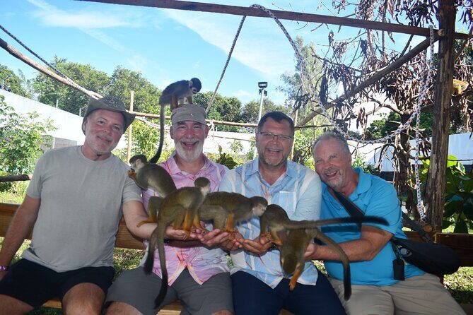 Monkey Tour Interaction and Damajagua waterfalls in Puerto Plata. - What This Puerto Plata Day Feels Like