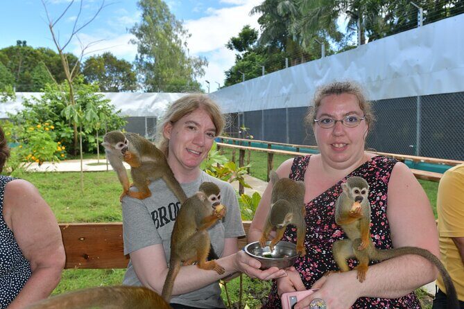 Monkey Tour Interaction and Damajagua waterfalls in Puerto Plata. - Monkey Home in Imbert: Fruit Feeding and Up-Close Squirrel Monkey Time