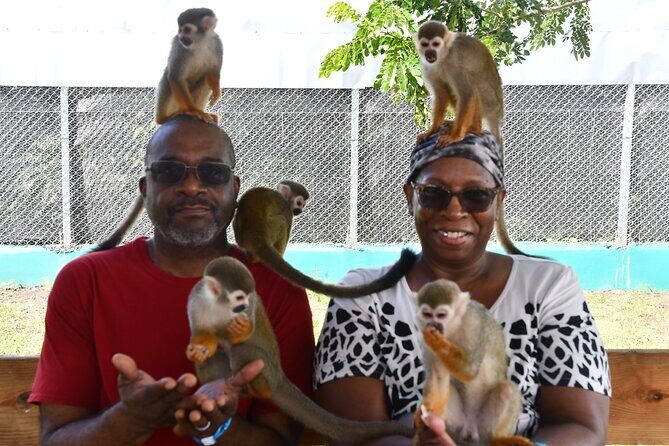 Monkey Tour Interaction and Damajagua waterfalls in Puerto Plata. - Safety Gear and Staff Style at Damajagua