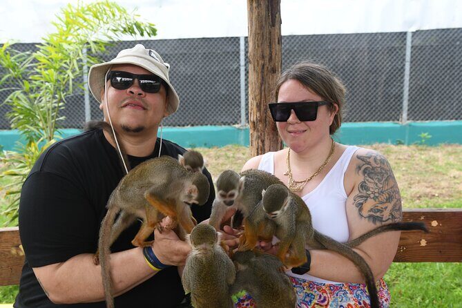 Monkey Tour Interaction and Damajagua waterfalls in Puerto Plata. - Who Should Book This Tour (and Who Might Want a Backup)
