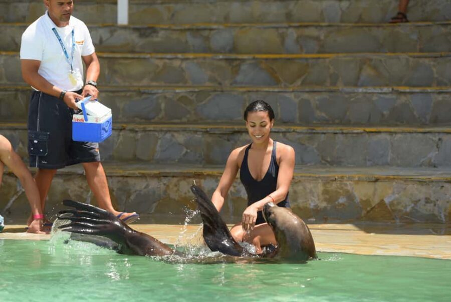 Ocean World Dolphin Swim & Sea Lion Combo from Puerto Plata - Key Points at a Glance
