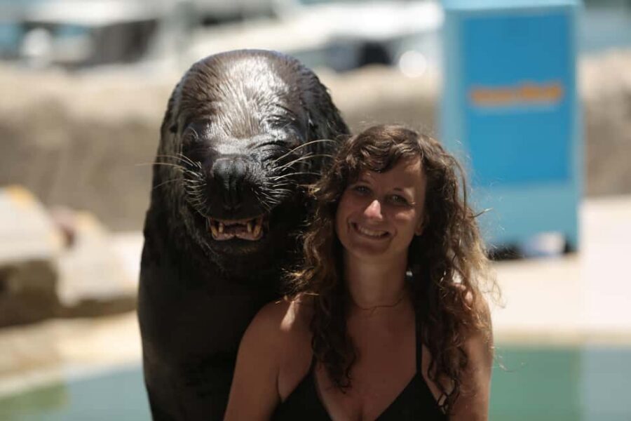 Ocean World Dolphin Swim & Sea Lion Combo from Puerto Plata - Ocean World From Puerto Plata: What Makes This Worth the Trip