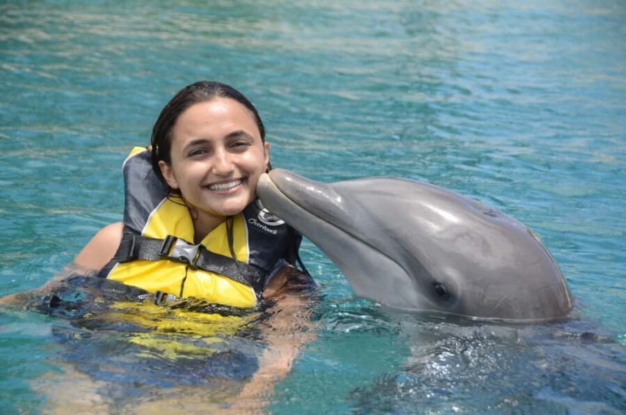 Ocean World Dolphin Swim & Sea Lion Combo from Puerto Plata - The Dolphin Swim Program: Orientation First, Then 30 Minutes in the Water