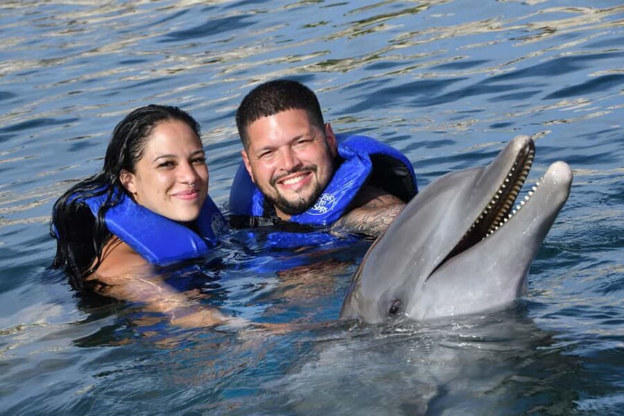Ocean World Dolphin Swim & Sea Lion Combo from Puerto Plata - Getting There by Coach: The Easy Part (and the One Thing to Double-Check)