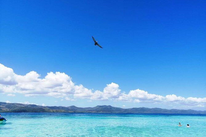 Paradise Island & Mangroves Tour - Getting from Cabarete, Sosua, and Puerto Plata without wrestling taxis