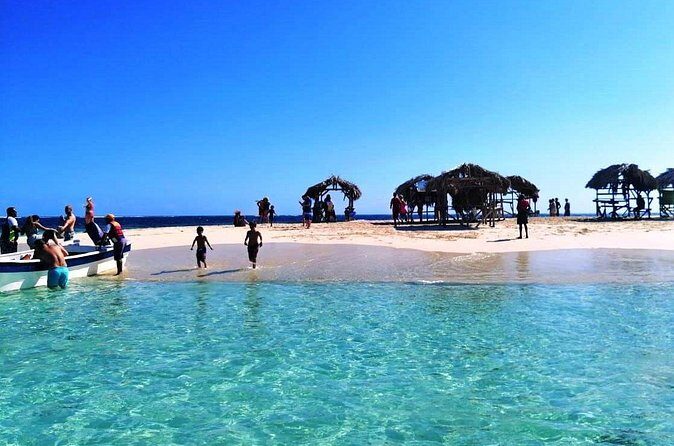 Paradise Island & Mangroves Tour - Price and value: is $89 worth a long day?