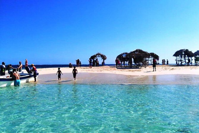 Paradise Island & Mangroves Tour - 7:00am to the market stop: a realistic walk-through of your day