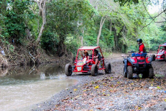 Pop Buggy Excursion from Amber Cove and Taino Bay Puerto Plata - Cocoa and coffee country: why that rural drive is the point