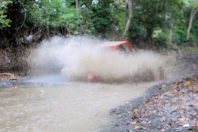 Pop Buggy Excursion from Amber Cove and Taino Bay Puerto Plata - The typical Dominican house visit: what you should look for