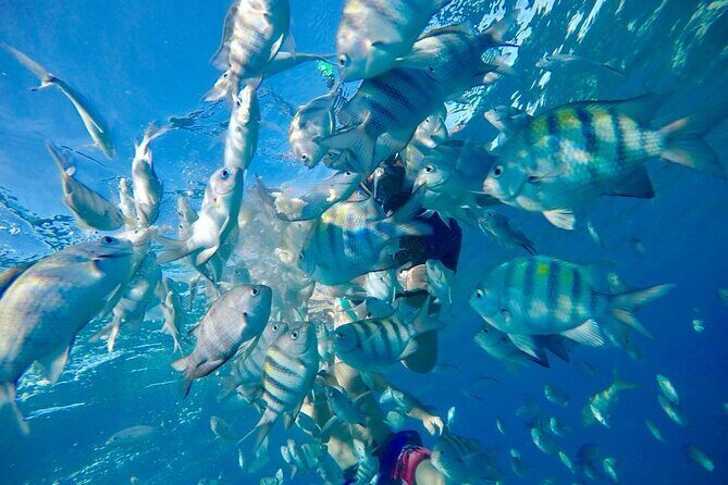 Private all-inclusive snorkeling at sosua beach. - A 4–5 hour flow you can actually enjoy