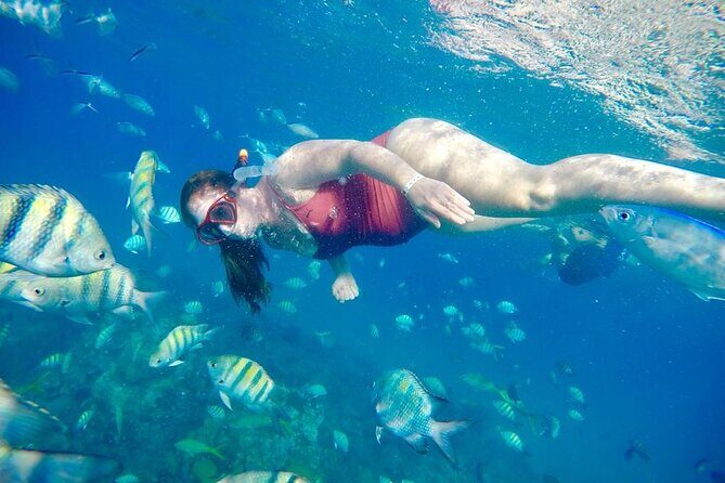 Private all-inclusive snorkeling at sosua beach. - Sosua Beach stop: calm bay water and lots to look at