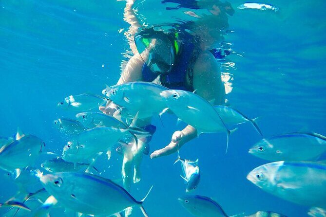 Private all-inclusive snorkeling at sosua beach. - Boat choice depends on your group size
