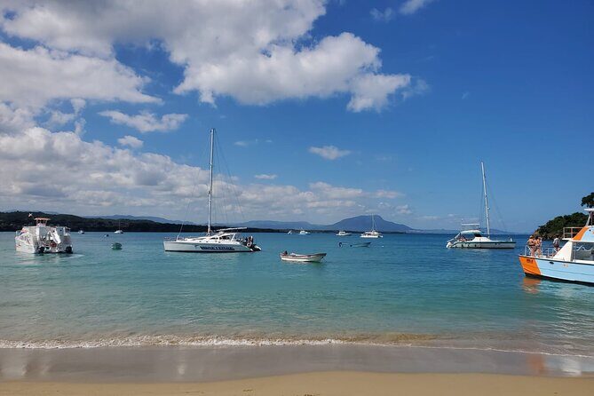 Private all-inclusive snorkeling at sosua beach. - Gear, life jacket, and instructions: the easy start matters