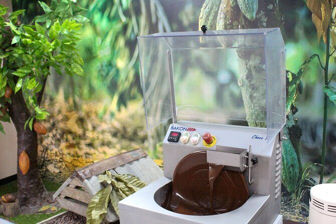 Private Tour in Puerto Plata and La Playa - Del Oro Chocolate Factory: Organic Chocolate Tasting Time