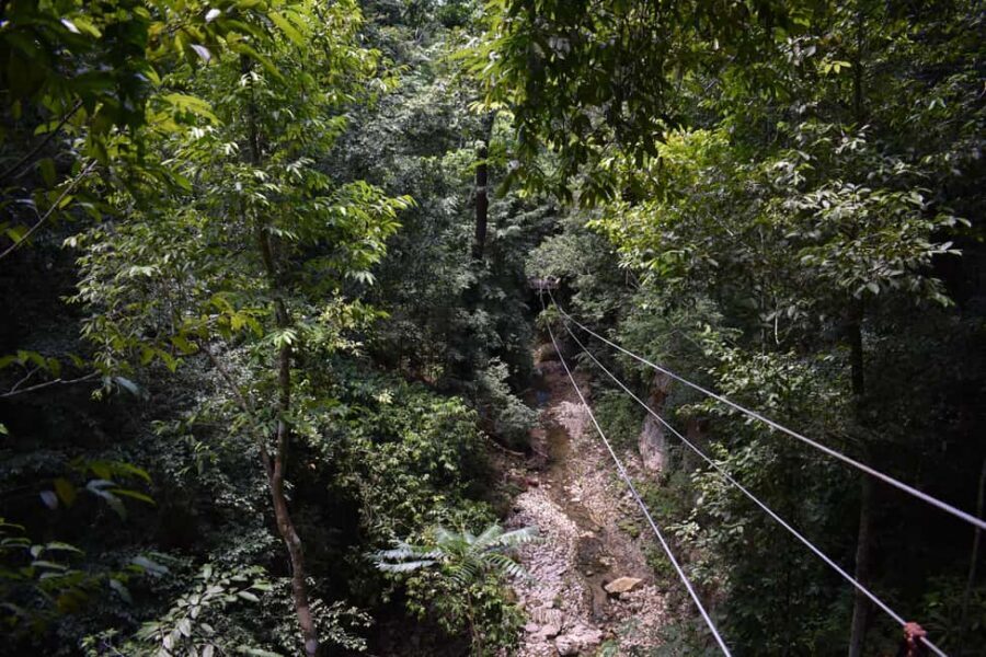 Puerto Plata/Amber Cove: Zipline and Waterfalls with Lunch - Entering The Adventure: Port Pickup and Getting to the Trail