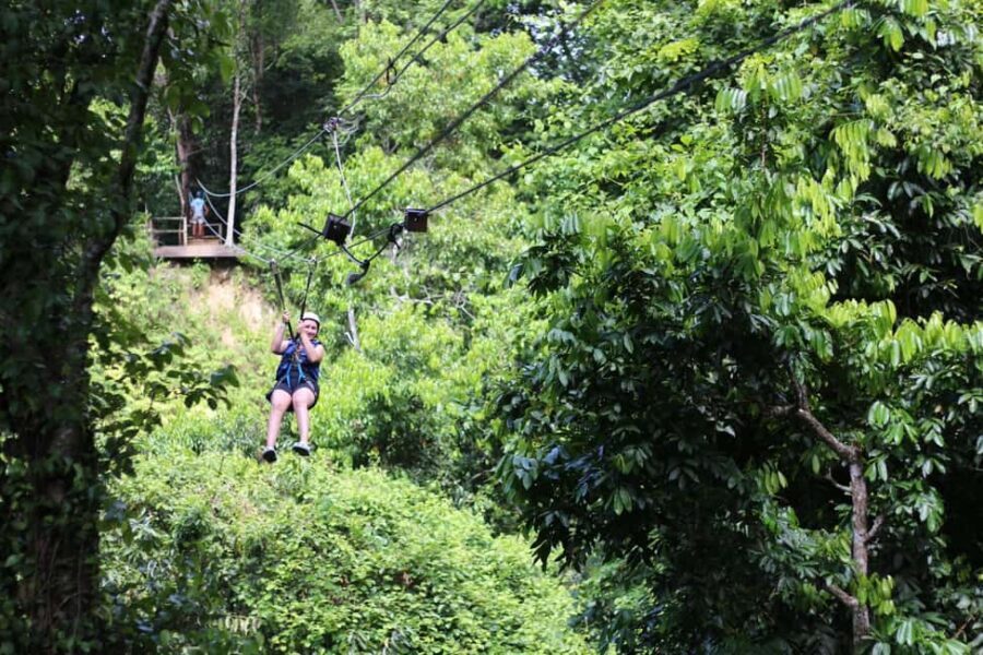 Puerto Plata/Amber Cove: Zipline and Waterfalls with Lunch - What It Costs (and Why $104 Can Be Worth It)
