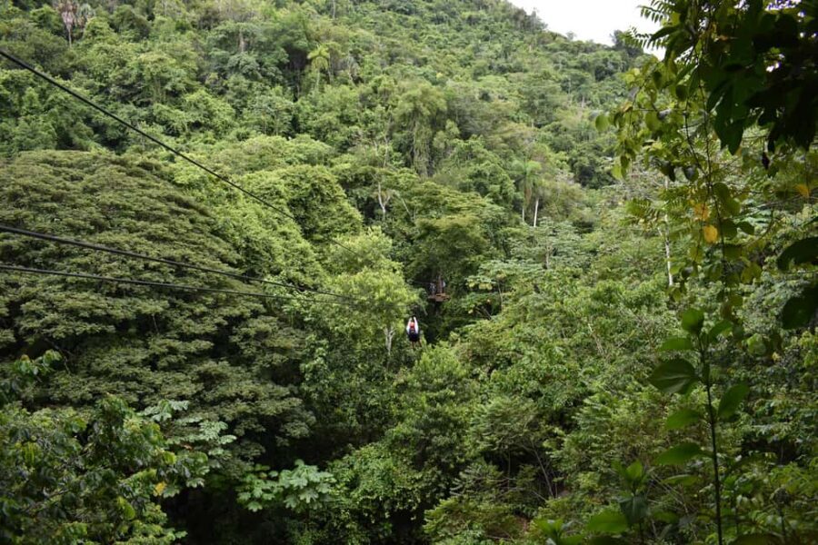 Puerto Plata/Amber Cove: Zipline and Waterfalls with Lunch - Who Should Book This Zipline and Waterfall Day (and Who Should Skip)