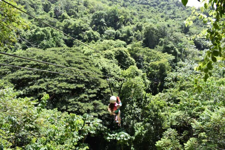 Puerto Plata/Amber Cove: Zipline and Waterfalls with Lunch - Soaring Over Jungle and Waterfalls: Your Five Zipline Runs