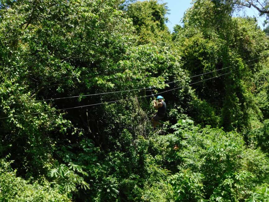 Puerto Plata ATV N Zip Adventure | Shore Excursion & Hotel - Tropical Garden Stop and Parrots: A Break That Still Feels Local