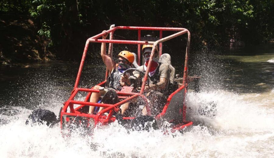 Puerto Plata: Buggy Adventure with Local Guide - Cocoa and Coffee Stops: What You’ll Learn and Taste