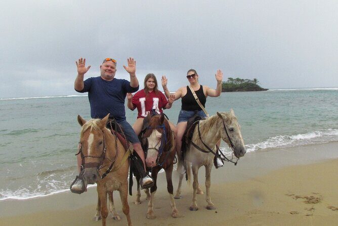 Puerto Plata City Horseback Riding Tour ,Rios,Beaches and Countryside - The Farm Stop: Coffee, Cocoa, Fruit, and a Typical Dominican House