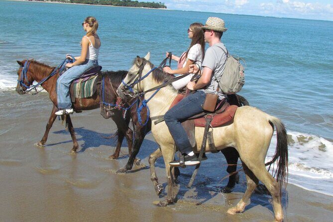 Puerto Plata City Horseback Riding Tour ,Rios,Beaches and Countryside - Who Should Book This (and Who Might Want Another Option)