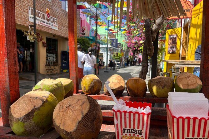 Puerto Plata City Private Tour - Chocolate factory time: the best smell on the route