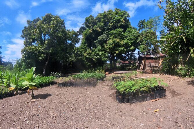 Puerto plata city tour and beach - Stop 1 in Maimón: coffee, cocoa, farms, and farm-life demos
