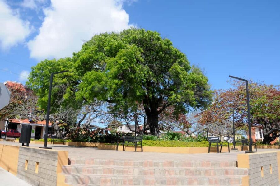 Puerto Plata City Tour and Cable Car Ride - Mount Isabel cable car: the view is the whole point