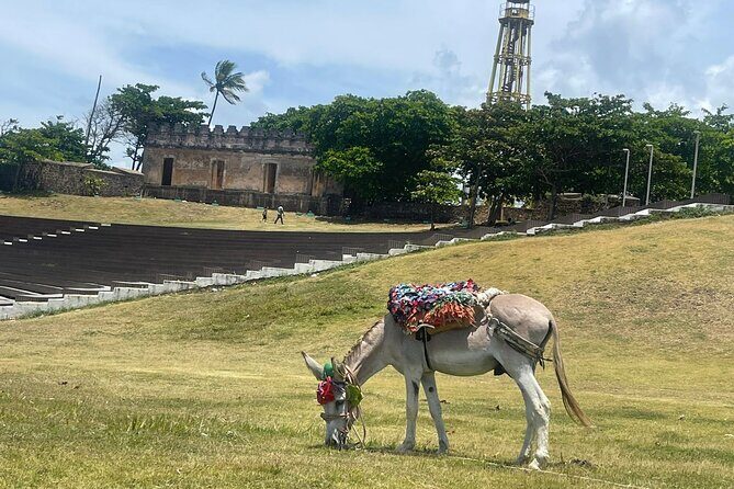 Puerto Plata City Tour Ron Puros Culture and History - Catedral San Felipe in Central Park: Victorian Architecture With Local Rhythm