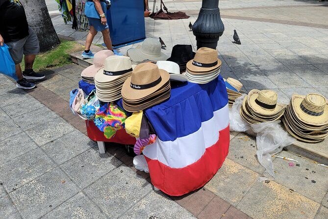 Puerto Plata City Tour VIP (Private and Customizable) - The air-conditioned van with wifi that makes $105 feel smarter