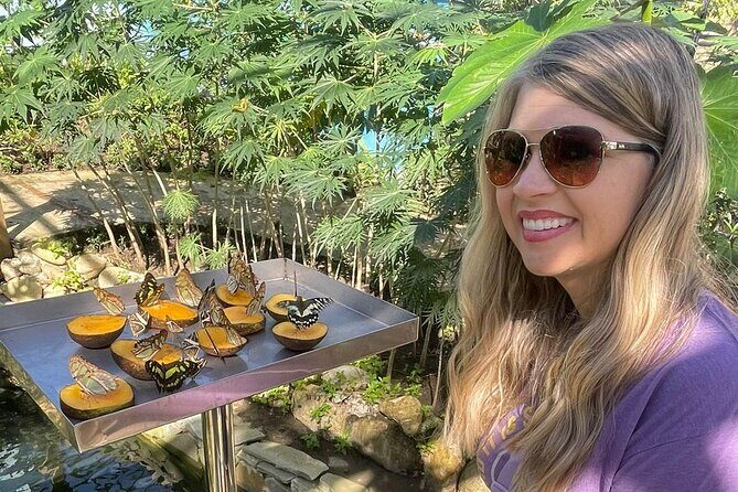 Puerto Plata City Tour with Butterfly Garden - Four Hours That Feel Like Two Different Puerto Platas