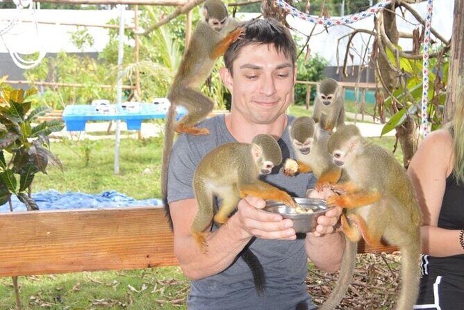 Puerto Plata City Tour with Monkeys - Key points to know before you go