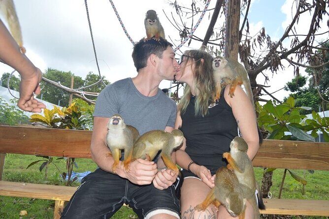 Puerto Plata City Tour with Monkeys - Ron Macoris rum factory, mini Amber museum, and chocolate factory