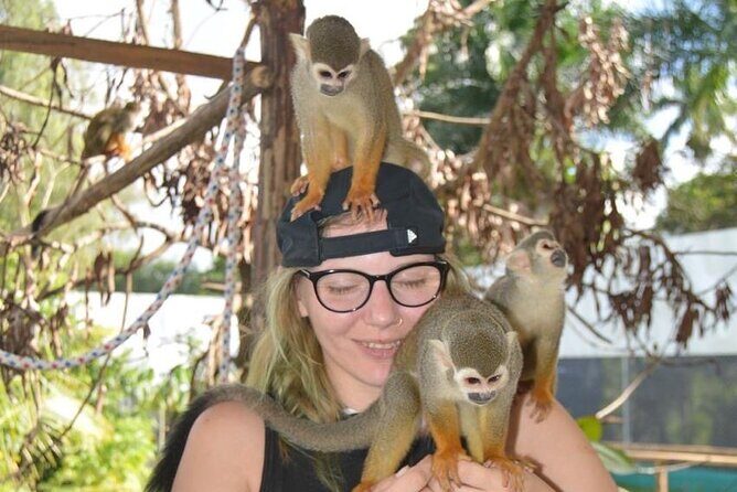 Puerto Plata City Tour with Monkeys - Fortress San Felipe: history with a view, not a slog