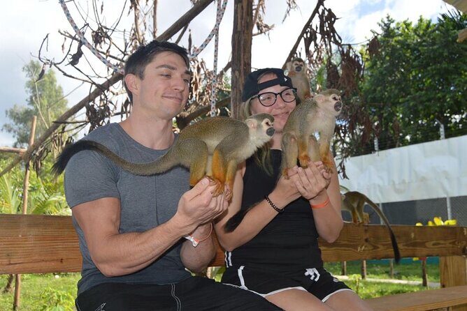 Puerto Plata City Tour with Monkeys - Imbert and Cevallos: fruit plantations plus the animal highlight