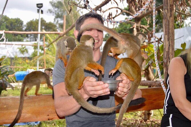 Puerto Plata City Tour with Monkeys - Air-conditioned vehicle and how you’ll spend your travel time