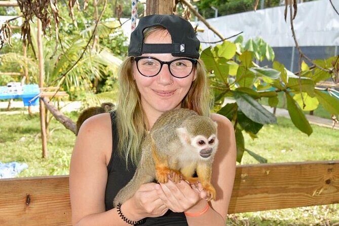 Puerto Plata City Tour with Monkeys - The Puerto Plata city loop: parasol street to central park