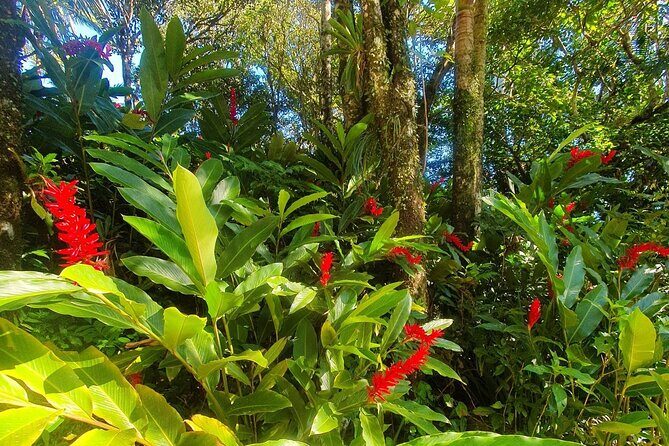 Puerto Plata City Tour with the Mount Isabel, Rum & Chocolate - The Big Picture: What You Get in 6 Hours