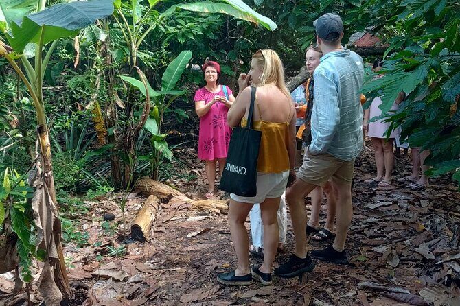 Puerto Plata Cultural City Tour – Half Day Experience - Cable Car to Isabel de Torres and Christ the Redeemer Views