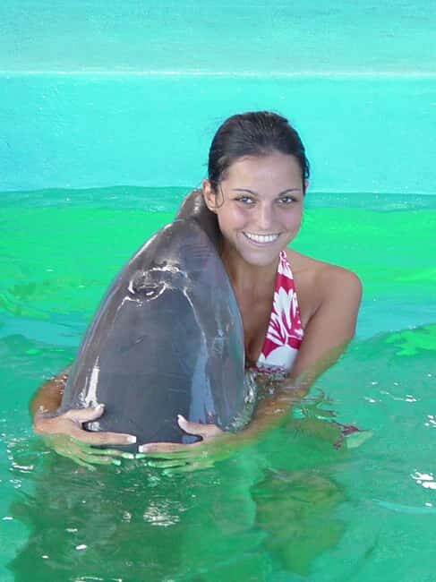Puerto Plata: Dolphin Encounter at Ocean World - Key Highlights You’ll Actually Care About