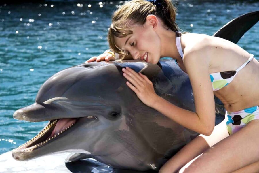 Puerto Plata: Dolphin Encounter at Ocean World - Ocean World Puerto Plata: What the Dolphin Encounter Feels Like