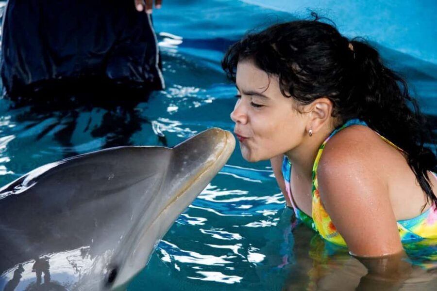 Puerto Plata: Dolphin Encounter at Ocean World - Shows You’ll See: Dolphins, Sharks, Sea Lions, Tropical Birds