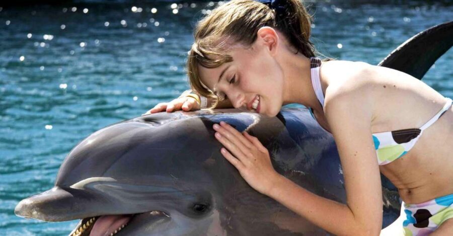 Puerto Plata: Dolphin Encounter at Ocean World - Transportation From Puerto Plata Hotels: How Getting There Works