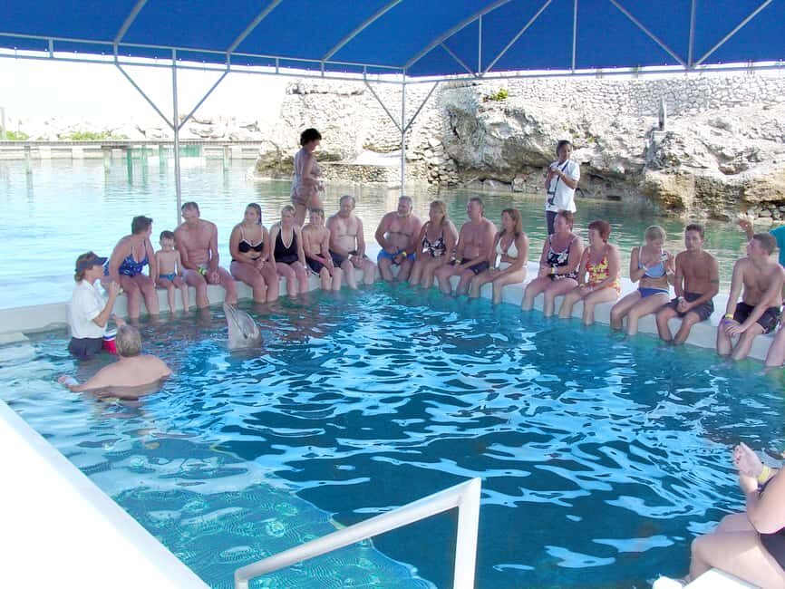 Puerto Plata: Dolphin Encounter at Ocean World - Who This Dolphin Encounter Is Best For (and Who Might Want Another Option)